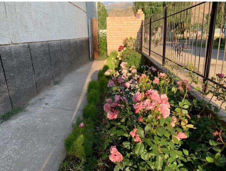 Baktygul Guesthouse Naryn Exterior photo